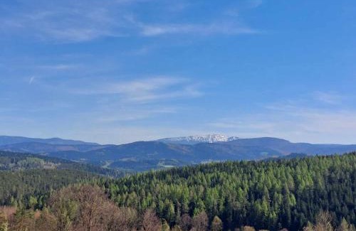 Stryszawa House | Ważka - dom do wynajęcia