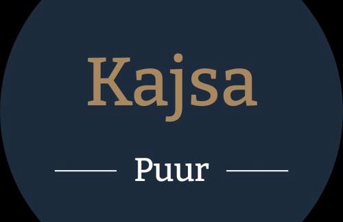 Pietersbierum Villa | Wad & Loft unieke paalwoning vlakbij de Waddenzee