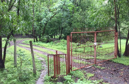 Jawhar Other | Waghoba Tourist village