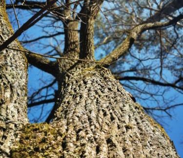 Narewka House | Wagon Przystanek Gnilec