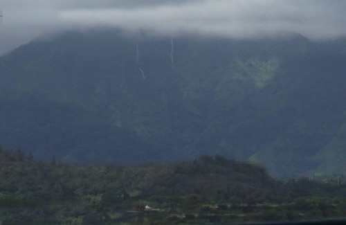 Wailua Condo | Waipouli Beach D-303 2 Heavenly Cal King Beds We Pay Resort Fee's - Best Reviews