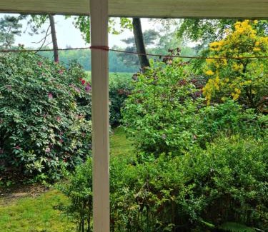 Dotlingen House | Waldhaus Dötlingen Ferienhaus im Naturpark