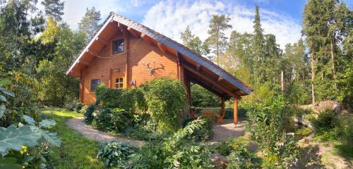 Bad Schmiedeberg House | Waldhaus Eichhörnchen