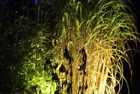 Kuesten Apartment | Waldtraum Wendland