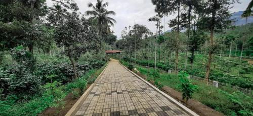 Vayittiri House | Wanders In- Farm Stay