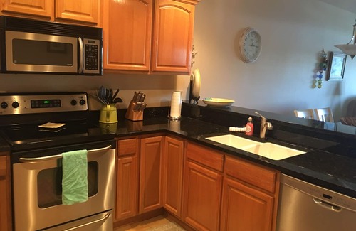 Steinhatchee Condo | Water Front, Pool and Boat Slip