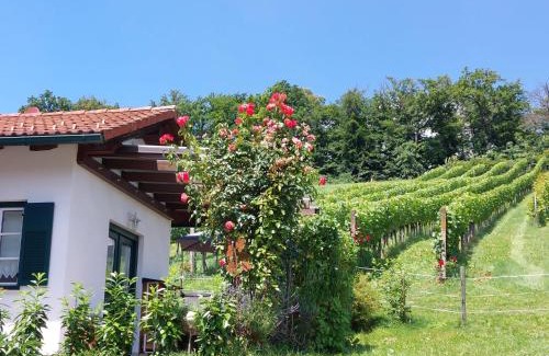Welten Apartment | Wein & Wohnen MATZL - Ferienwohnung