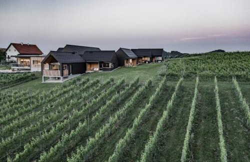 Eichberg-Trautenburg House | Weingut & Winzerhäuser Skringer