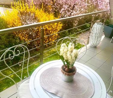 Sulzbach a.Main Apartment | Weinurlaub