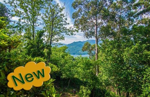 Ventosa Ski Chalet | Welcome to Gerês-Green view