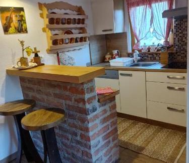 Ljutomer Apartment | Wellness hiša Jelenov Grič