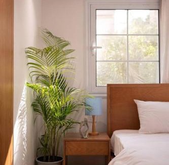 Taqseem Laselky Apartment | Western by Spacey #10 - Studio in Maadi