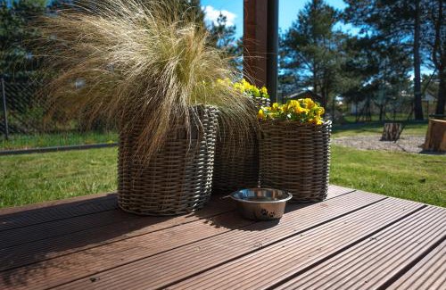 Sasino Apartment | WestfalowaChatka domek z jacuzzi