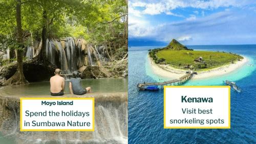 Sumbawa Besar Other | Whale shark private trip