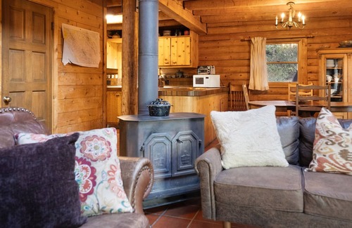 Idyllwild Cabin | Whispering Ridge Cabin with Spa & Mountain Bliss