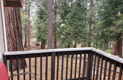 Twin Peaks Cabin | Whistling Woods Cabin at The Twin Peaks Lodge