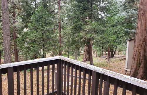 Twin Peaks Cabin | Whistling Woods Cabin at The Twin Peaks Lodge