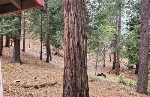 Twin Peaks Cabin | Whistling Woods Cabin at The Twin Peaks Lodge