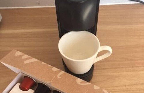 Maleny House | White Jacaranda Tiny House by Tiny Away