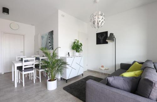 Ljutomer Apartment | White Mountain Apartment