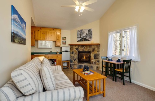 Lyndhurst Cabin | White Rock Cabin-1BR, ADA, kitchenette, fireplace