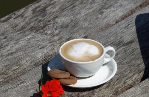 gmina Dabrowa Białostocka House | Wieża marzeń