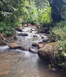 Rivas House | Wild Nest Chirripo