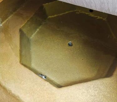 Varsag Apartment | Wild tree house