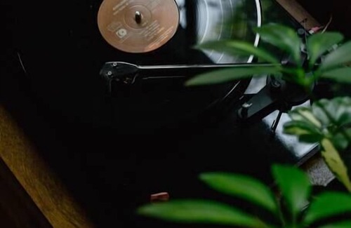 Idyllwild Apartment | Wildland Zen Den: Tiny House Retreat with Fireplace, Grill, AC, Hammock, Record