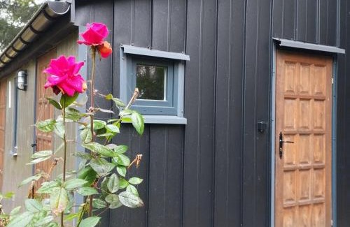 Krasnobrod House | Wilkovo Roztocze