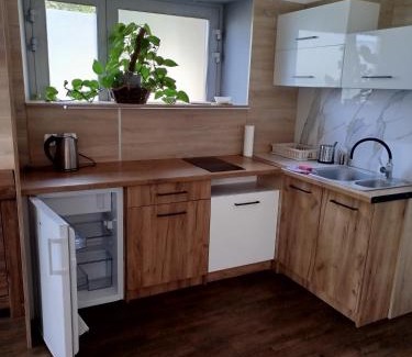 Ladek-Zdroj House | Willa Relaks