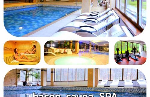 Stronie Slaskie Apartment | Willa Sowia nowy apartament z prywatnym tarasem i widokiem na góry