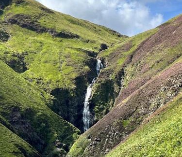 Newbridge House | Williamsfield Cottage