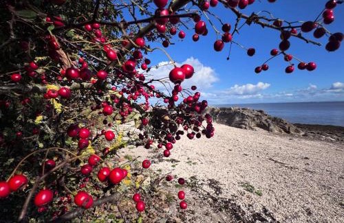 Newbridge House | Williamsfield Cottage