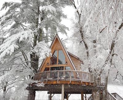 Williamsville House | Willow