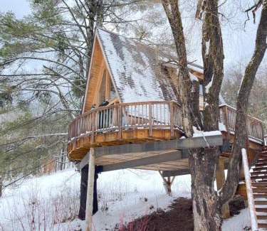 Williamsville House | Willow