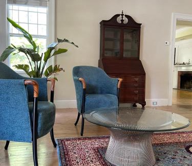 Williamsville House | Willow