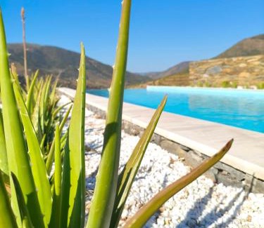 Torre de Moncorvo House | Wine House - Quinta Vale de Carvalho