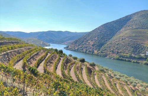 Torre de Moncorvo House | Wine House - Quinta Vale de Carvalho