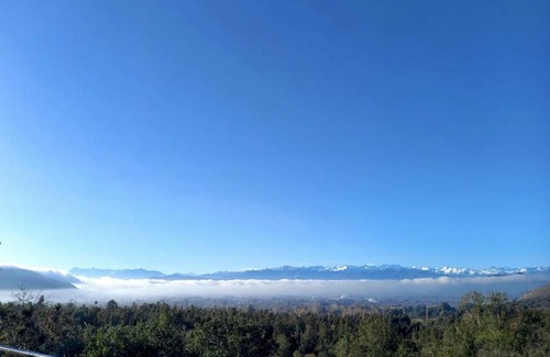 Donihue Bed & Breakfast | Wine Lodge de Viña Vultur en bosque nativo con piscina