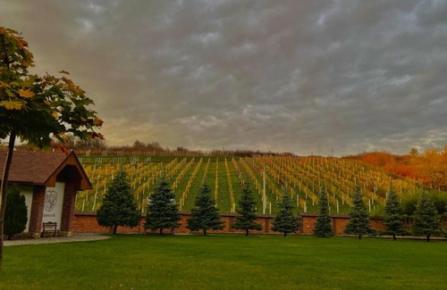 Serednye Hotel | WineGarden