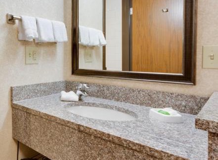 Fenton Hotel | Wingate by Wyndham St Louis-Fenton Route 66