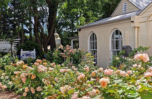 Balmoral Ridge House | WinterGreen Manor, Glass Pavilion - stylish and charming minutes from Maleny