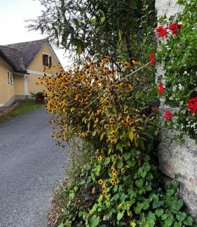 Fehring Apartment | Winzerhäuschen Kern