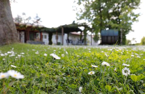 Iphofen Apartment | Winzerhof Düring