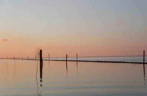 Bensersiel Hotel | Wohlfühlhotel Hörn van Diek Garni mit Schwimmbad