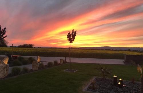 Mainz-Bingen Apartment | Wohnung 1 im Kirschblütenhof