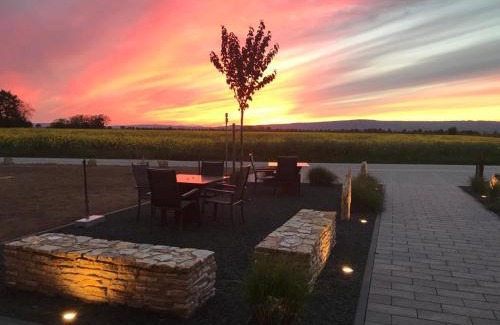 Mainz-Bingen Apartment | Wohnung 2 im Kirschblütenhof