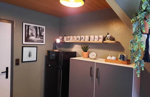 Rattlar Apartment | Wohnung bei Willingen für Wintersport