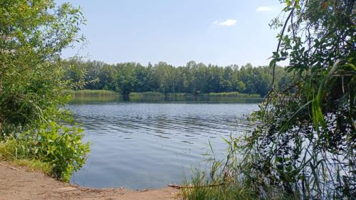 Neuhausen/Spree Other | Wohnung Schlafen im Fass mit Sonnenuntergang Blick